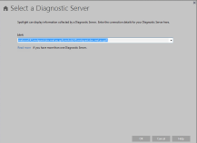 Select a Diagnostic Server